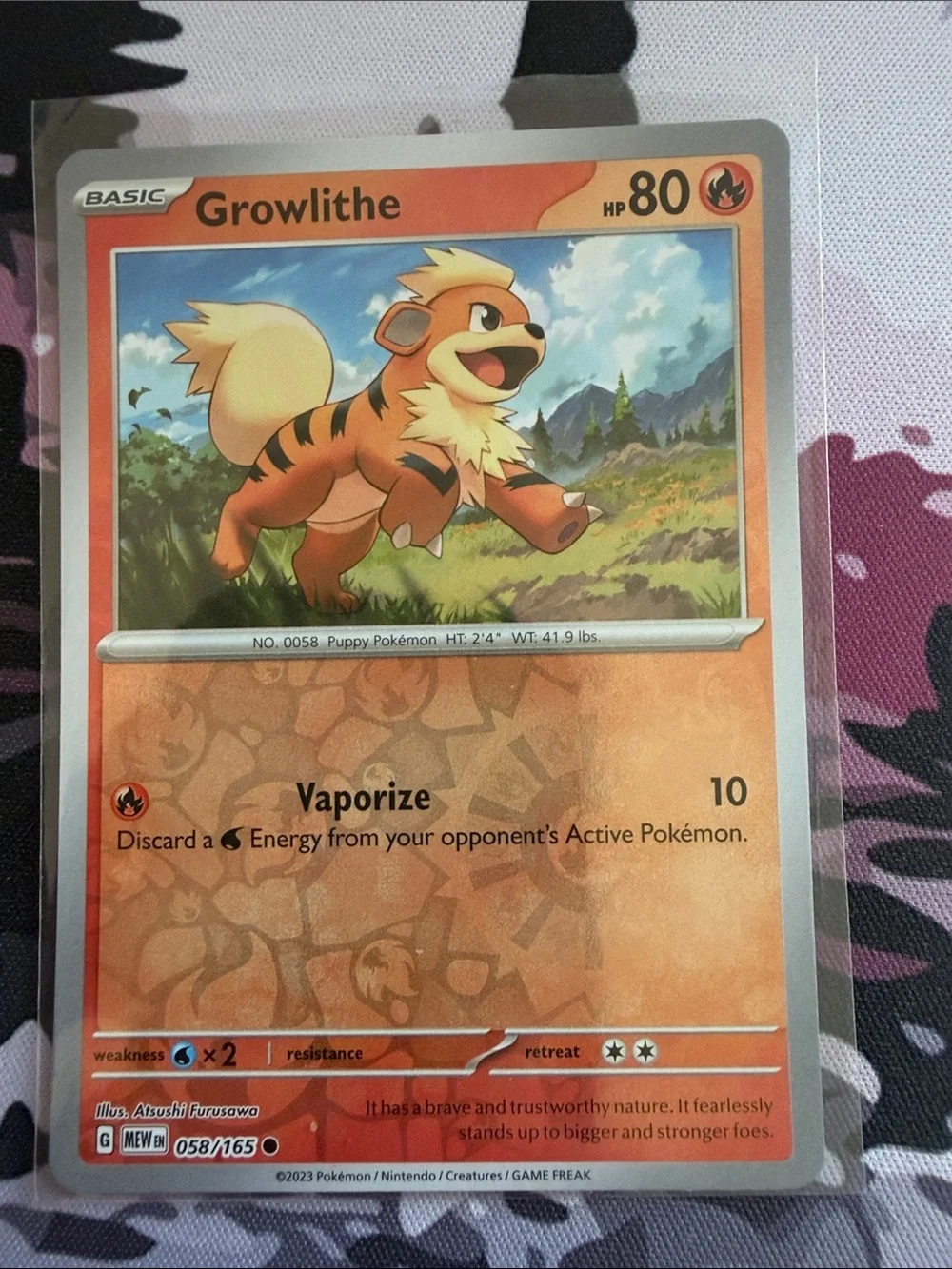 Growlithe & Arcanine Evolution Lot | 5 Cards | Holo & Reverse Holo | TCG ✨5/$25✨